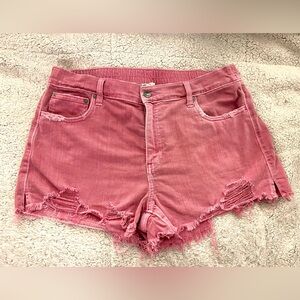 Aerie Daydream Denim Short Womens sz L